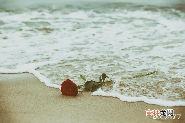 这个世界上最不缺的就是真相 一个人疏远你，其实原因很明显：你们之间的缘分尽了