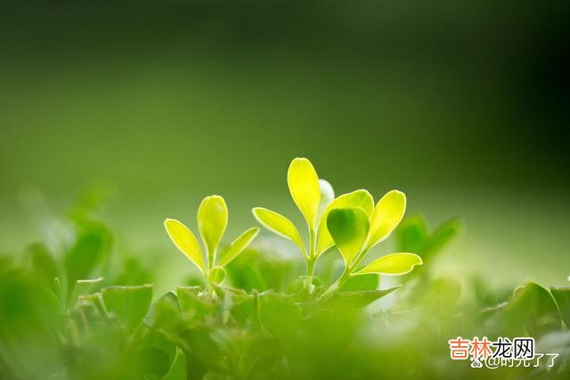作茧自缚的结果就是自作自受 人生最大的压力不是来源于这个世界，而是来源于自己的心