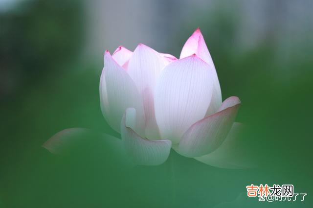 作茧自缚的结果就是自作自受 人生最大的压力不是来源于这个世界，而是来源于自己的心