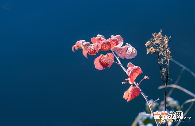 一个女人活到了五十岁 女人要记住,在自己年轻的时候能攒钱就尽量攒钱吧