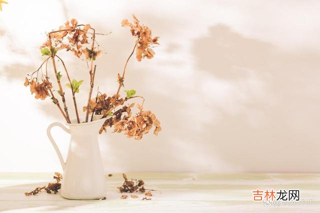 有的人或许命中注定错过 冥冥中注定，该离场的时候，多舍不得啊，也得离场
