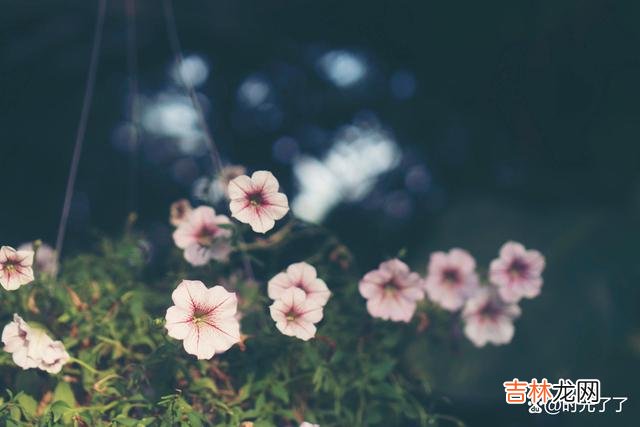 有的人或许命中注定错过 冥冥中注定，该离场的时候，多舍不得啊，也得离场