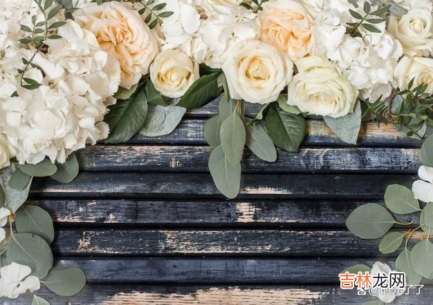 于女人而言 要想人生活得潇洒自由，女人就要享受孤独，也要努力去独立