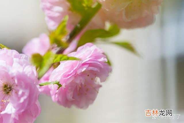 人的一生不长 要让孩子今后孝顺自己，就得先孝顺自己的父母