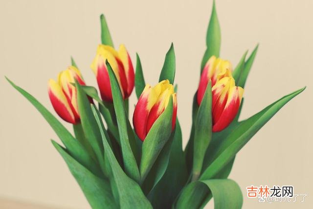 人的一生不长 要让孩子今后孝顺自己，就得先孝顺自己的父母