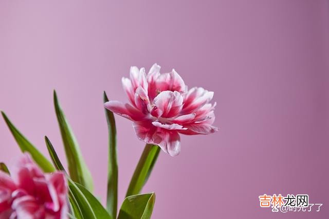 -01-读书多了 真正优秀、气质好的人，根本无需打扮，也会有无数女人主动撩他