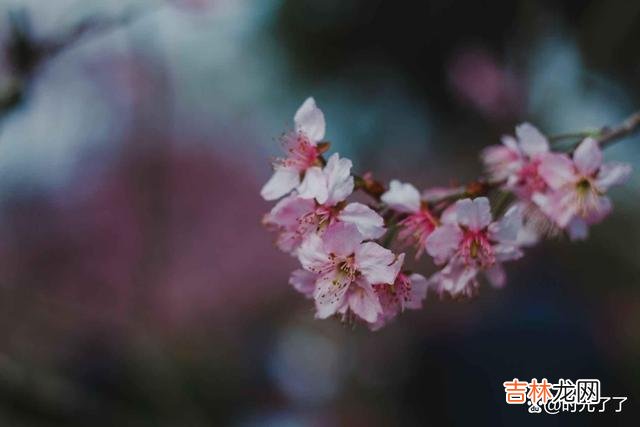 世界之大 冷血的人，一般有三个特征，最好看清楚了再交往