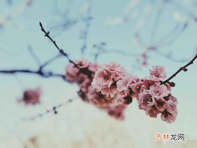 世界之大 冷血的人，一般有三个特征，最好看清楚了再交往