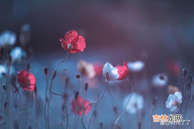如果生气有用 如果生气改变不了已经发生的现实，除了让自己的心情变得糟糕