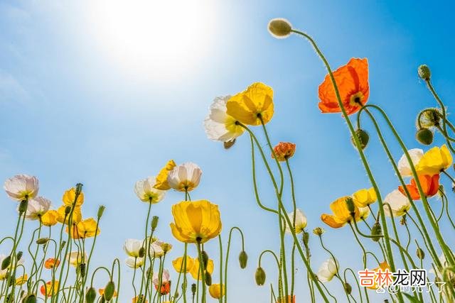 如果生气有用 如果生气改变不了已经发生的现实,除了让自己的心情变得糟糕