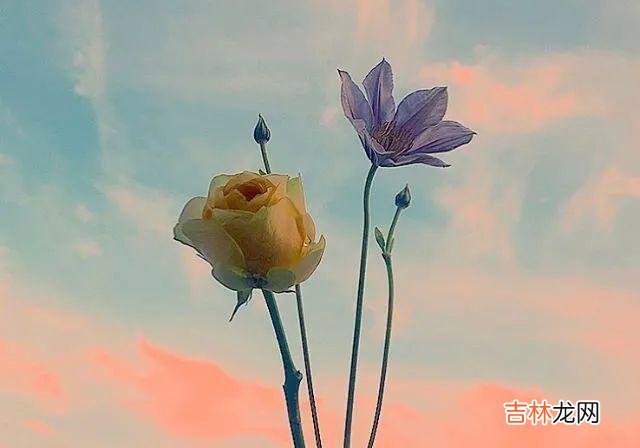 “大龄女强人 30多岁女博士，考验对方是否能够达成以下这些要求