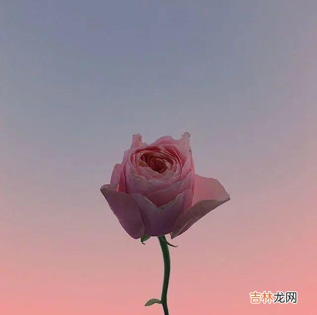 前言：在我们的生活里 在两性世界里，女人更渴望的是这两样事物