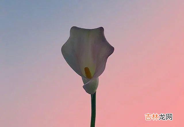 思念一个人时 女人在思念一个人时，女人会有这三个理由，她会主动拥抱他