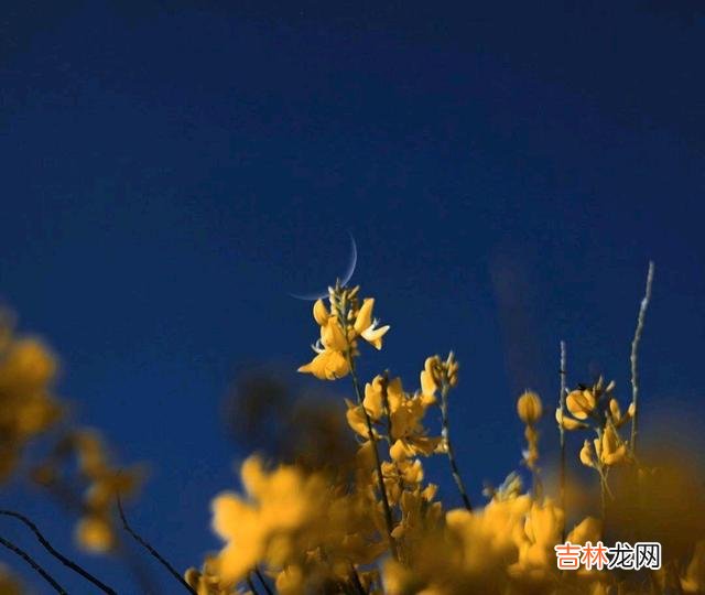 每个人最终都会跟条件相似的人在一起 从某些方面来看，有些迹象决定了你这辈子会娶谁为妻