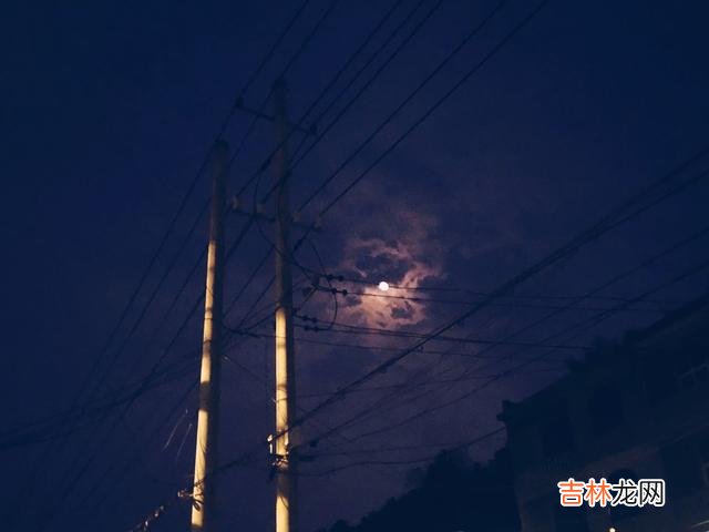 我们的人生总是如此那些懒懒散散虚度生命...|生活不会自己不动就能好好过下去