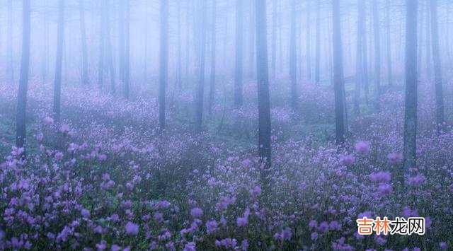 只要你选对了人 自私自利的男人，一般会有这三种表现，你中了吗？