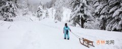 最开始滑雪怎么不摔倒  最开始滑雪怎么才能不摔倒