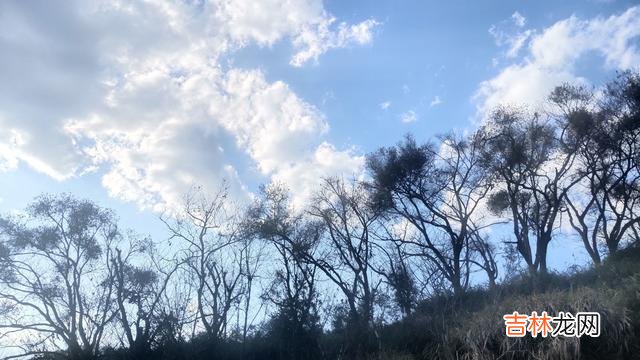 活得像自己 永远不要以别人的标准，来要求自己的生活