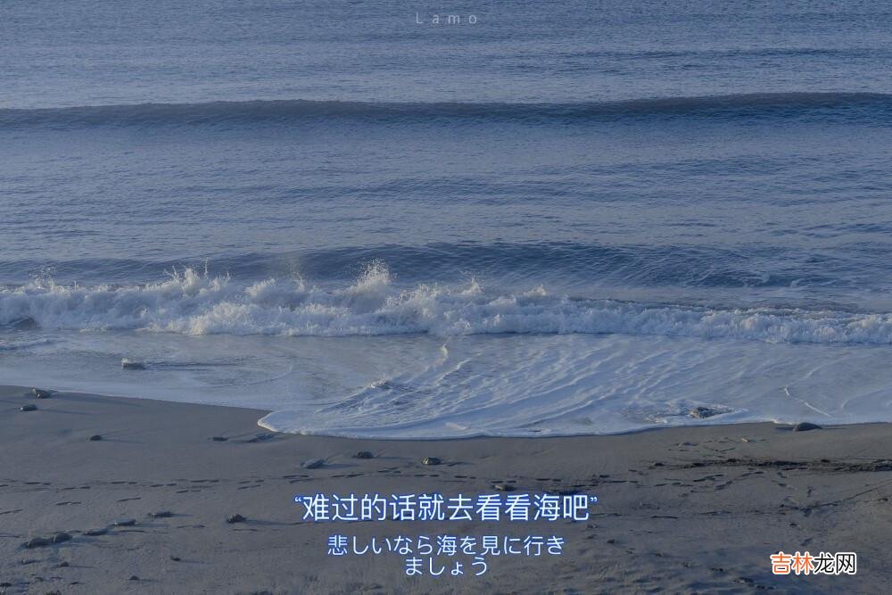 亲密关系中,“恋商高”的人才具备的特征:打直球