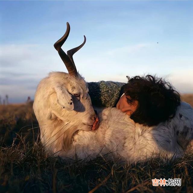 一无是处的温柔 男人的心，自古“深情”留不住，你就应该好好提升自己
