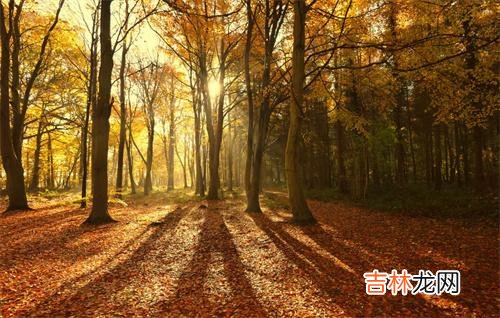 在我们生活当中 面对困难的时候，人的心情不好的时候，可能是因为这些