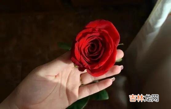一个男人从爱你变成不爱你 男女之间的感情，缘起的时候，有征兆，缘灭的时候，也有征兆