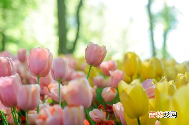 1.|生活中，你能做的就是去坚持去努力，因为结果老天爷迟早会给你