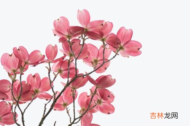 1.|生活中，你能做的就是去坚持去努力，因为结果老天爷迟早会给你