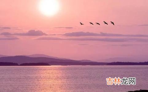 人因为有思想所以与自然界的其他生物有所不同 做到了这三件事，恭喜你，你总算活明白了