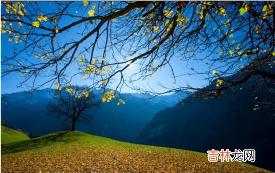 这两年 格局大的人在为人处事上占有绝对的优势，正所谓，事在人为