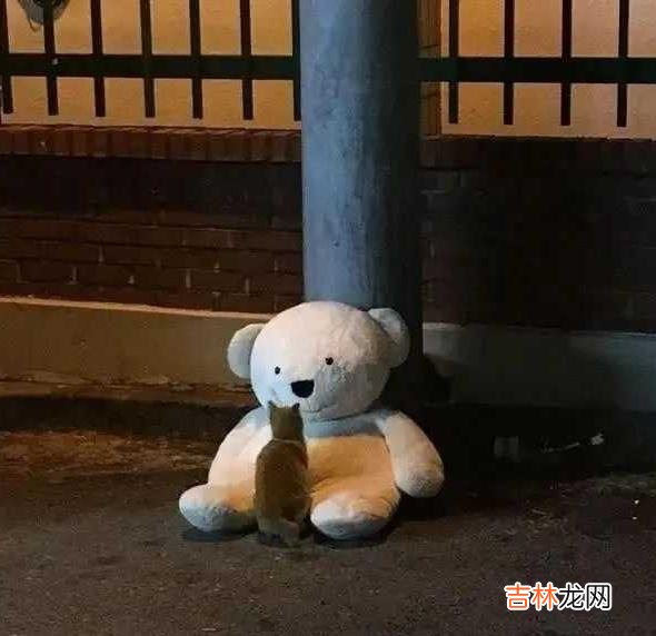 如果你一个朋友都没有 如果你一个朋友都没有，说明你正在走上坡路