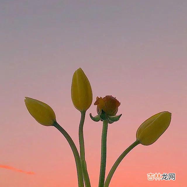 一生不可不知的10条歪理 人的眼界，在什么样的圈子，决定了你有什么样的眼界