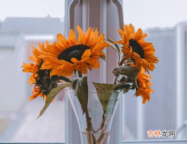 必须承认 一个拥有“自愈力”的女人，男人反而不会轻易抛弃你，只会欣赏你