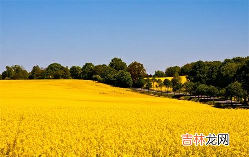 我们在日常生活当中 如何让一个女人变得更精致，从拒绝这三件事情开始