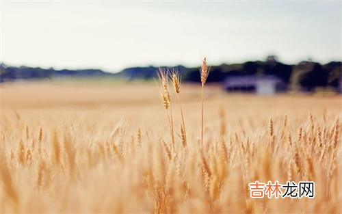 我们在日常生活当中 如何让一个女人变得更精致，从拒绝这三件事情开始