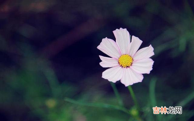 女人这一生 自带“贵气“的女人，都有这三个习惯，希望你每一个都有