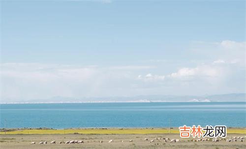 俗话说：“养儿防老”。|晚年的你，如果有一个很交心的朋友，不妨多依靠一下他