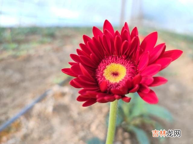 每一个人的成长 熬不下去时，遇到这三种情况，都是老天爷在渡你，千万别放弃