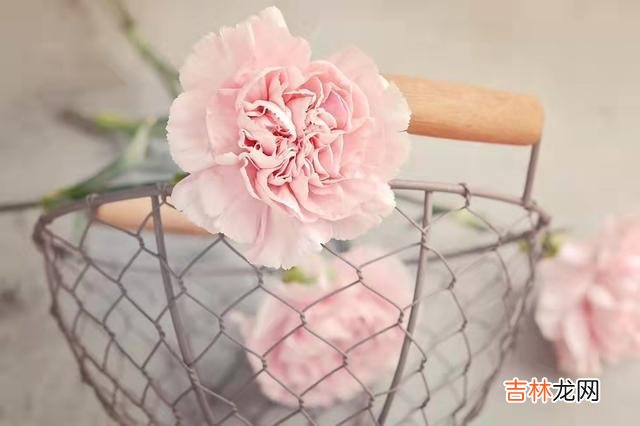 1.我今年28岁 结婚后，我才知道婆婆的意思是什么