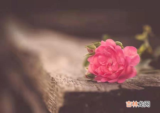 1.我今年28岁 结婚后，我才知道婆婆的意思是什么