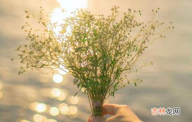 1.我今年28岁 结婚后，我才知道婆婆的意思是什么
