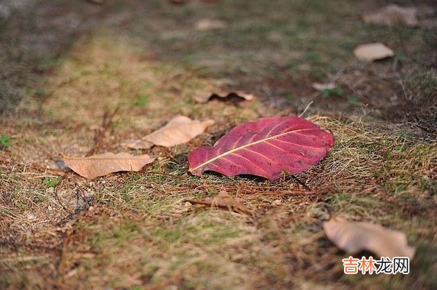 结婚后 真正聪明的女人，不会帮婆家这三种忙，无论有多闲