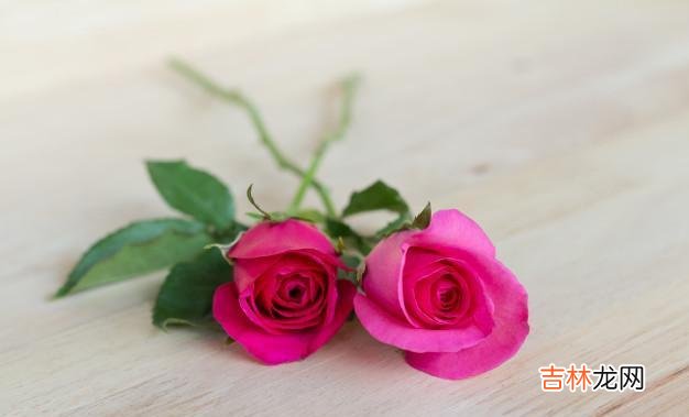 1.如果你和你的老公三观不合 如果两个人三观不合，那就把老公当成普通人相处