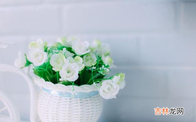 女人在第一次婚姻失败后 离婚,也是两个人的两败俱伤,没有谁是赢家