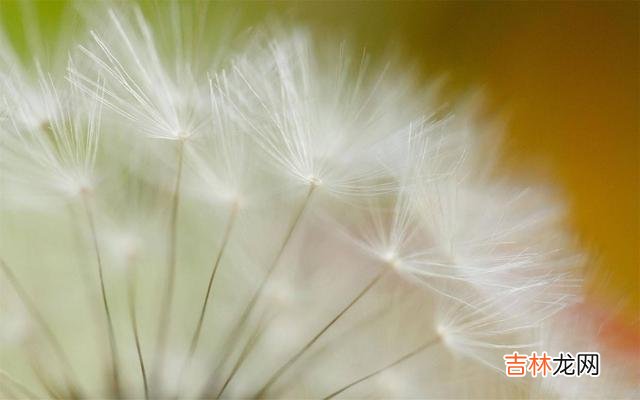 女人在第一次婚姻失败后 离婚，也是两个人的两败俱伤，没有谁是赢家