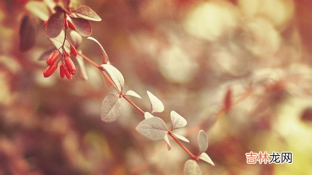 那些年轻的时候 那些城里被“吃绝户”的独生女家庭，老了老了往往只有这几种结局