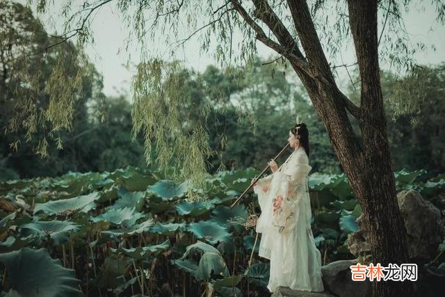 女人这一生中 在女人最合适的年纪，往往会嫁给最合适的那个人，而不是嫁给爱情