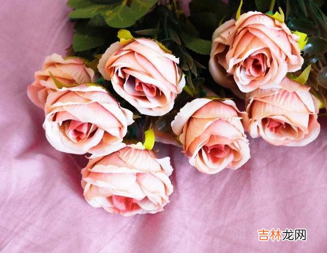 在你们曾经很深爱的时候 一个男人从不回复你的微信，从不回复你的三样东西