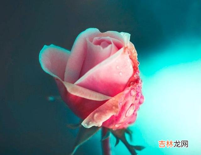 在你们曾经很深爱的时候 一个男人从不回复你的微信，从不回复你的三样东西
