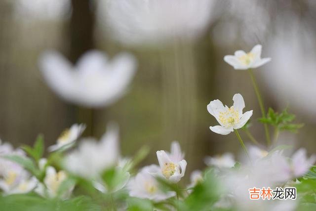 关于男人到底会不会介意 在我眼中，一个女人有过同居的经历，其实已经是二婚了